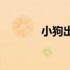 小狗出裝17173（小狗出裝）